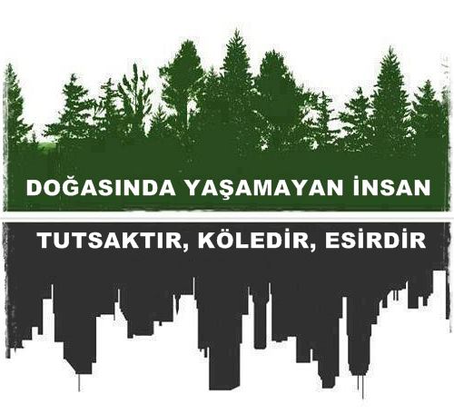 540035_10150823654313091_323994405_n